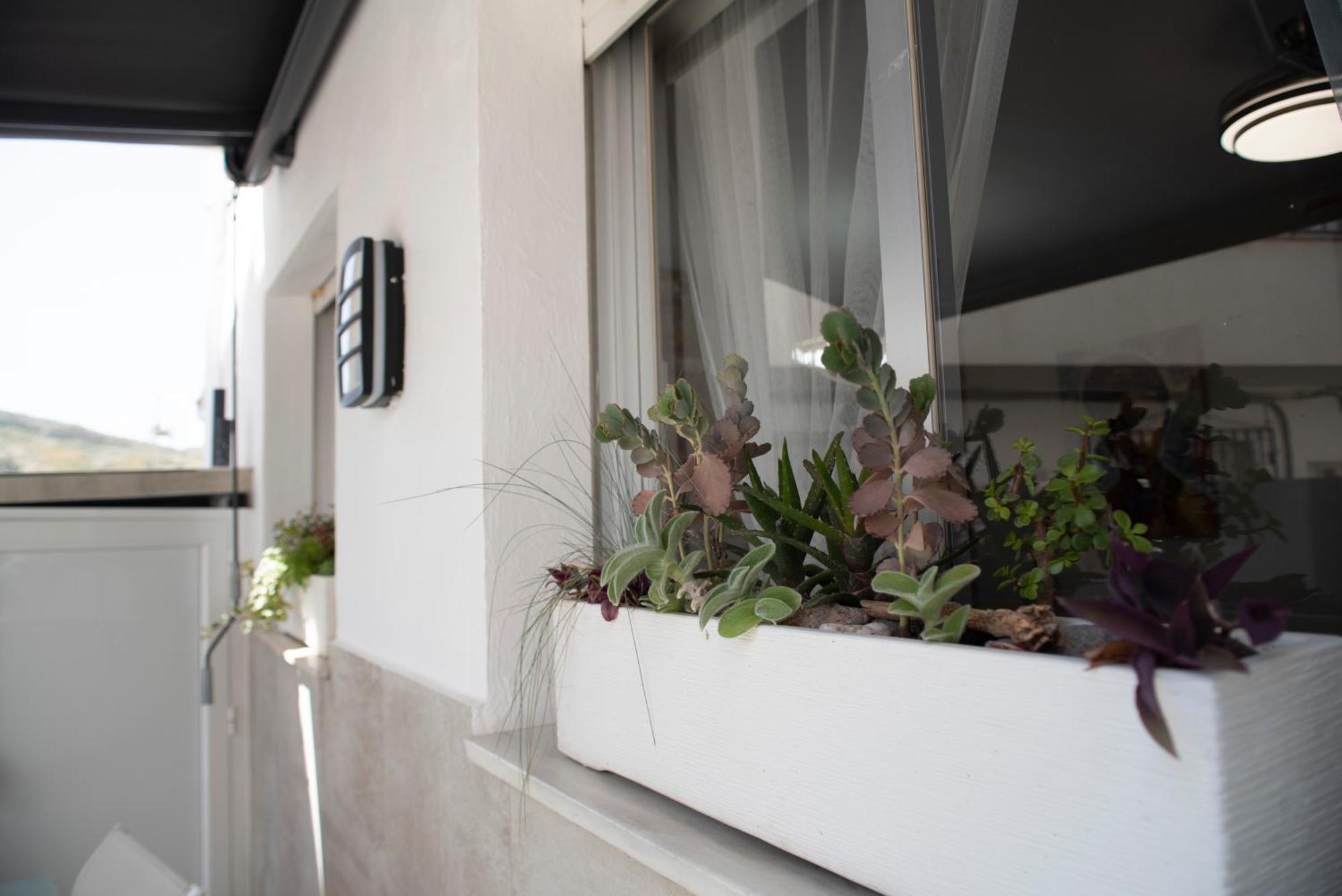 La Cueva De La Abuela Villa Cenes De La Vega Exterior foto